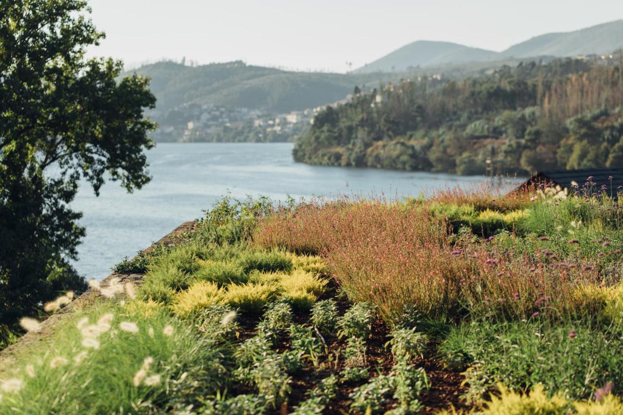 Hotel Douro41 & Castelo de Paiva